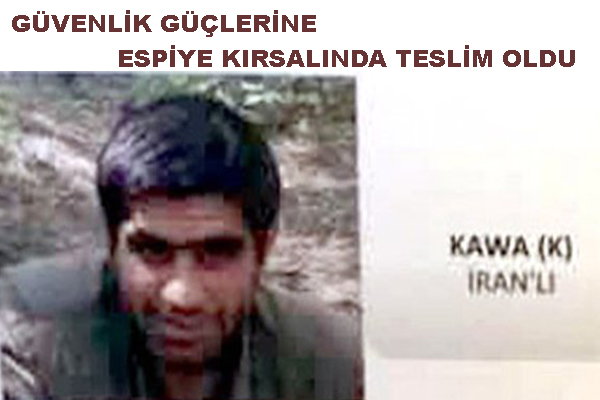 Espiye'de PKK'lı Terörist Teslim Oldu